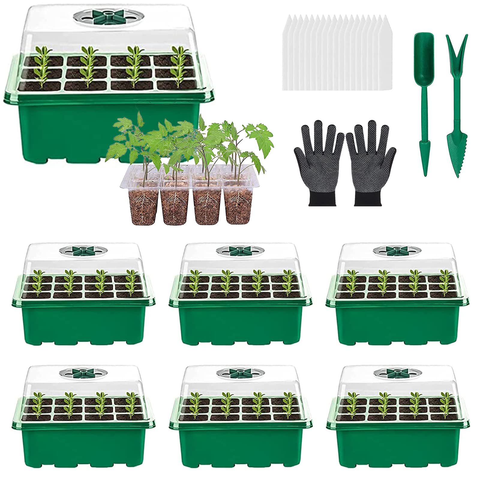Buy 6 Pack Seed Trays Seedling Starter Tray (12 Cells per Tray