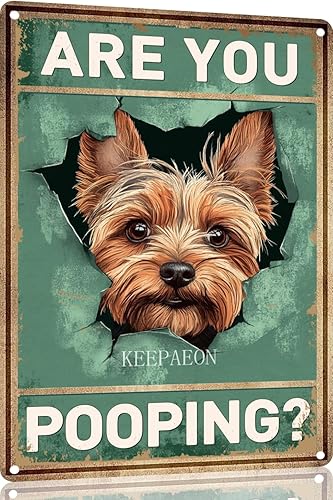 Miniatura 33 de Letrero de hojalata divertido con texto en inglés "Saint Bernard Dog Are You Pooping" para decoración de pared de baño, inodoro, 12 x 8 pulgadas