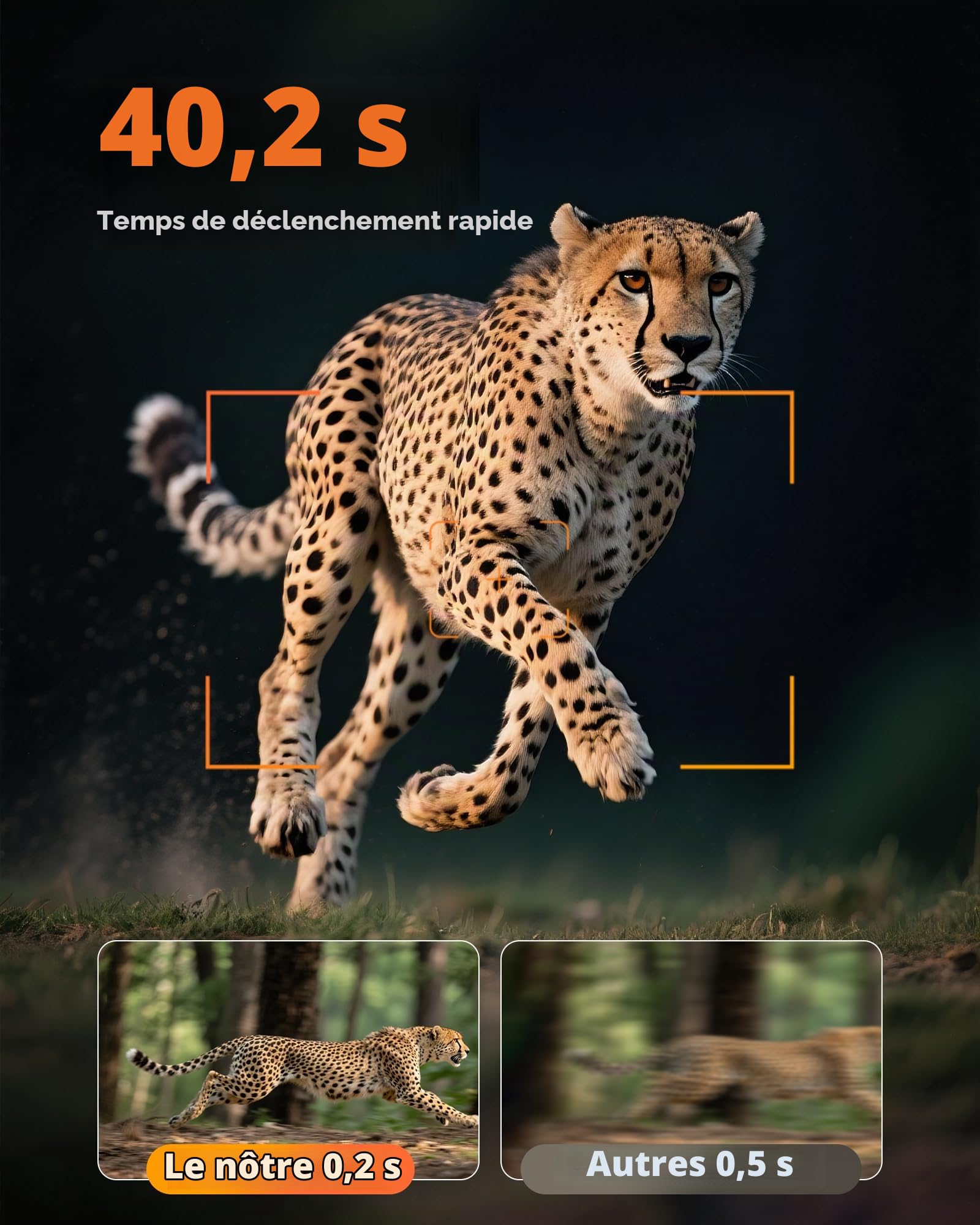 BECAMSO 4G LTE Camera de Chasse Solaire: 2.7K HD Caméra Surveillance Exterieur sans Fil - Couleur Vision Nocturne Animaux Cameras avec Carte SIM 8000mAh Batterie IP66 Imperméable