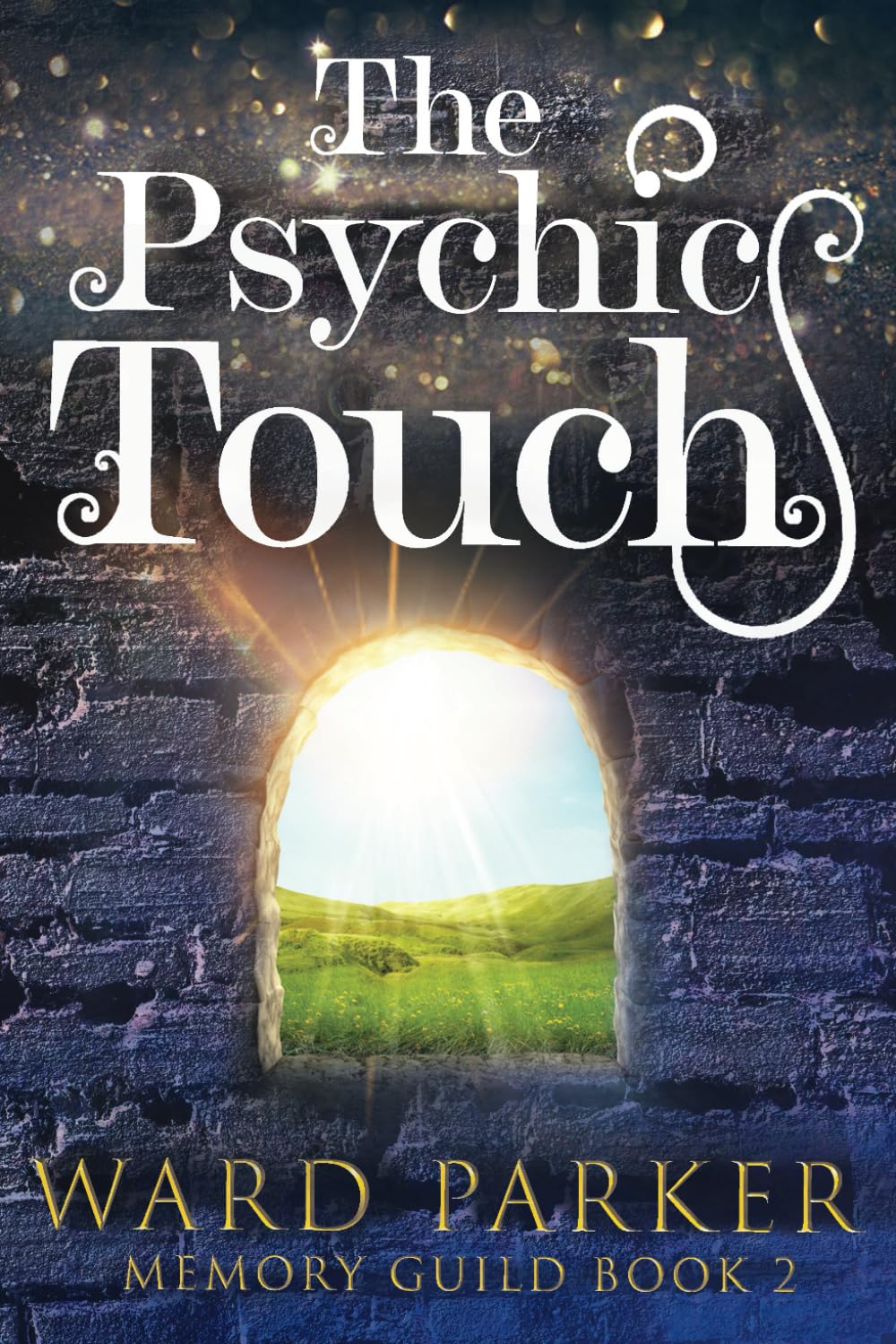 The Psychic Touch: A midlife paranormal mystery: 2 (Memory Guild)