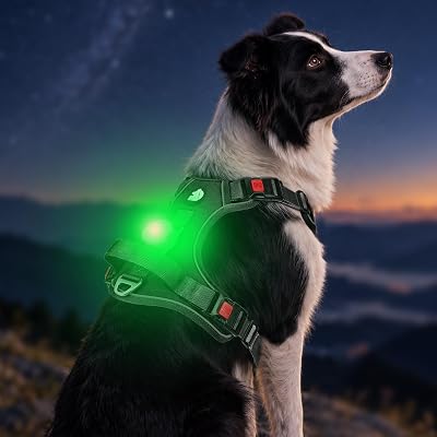Joytale No Pull Light Up Dog Harness, Night Walks, AirTag Holder, Black L