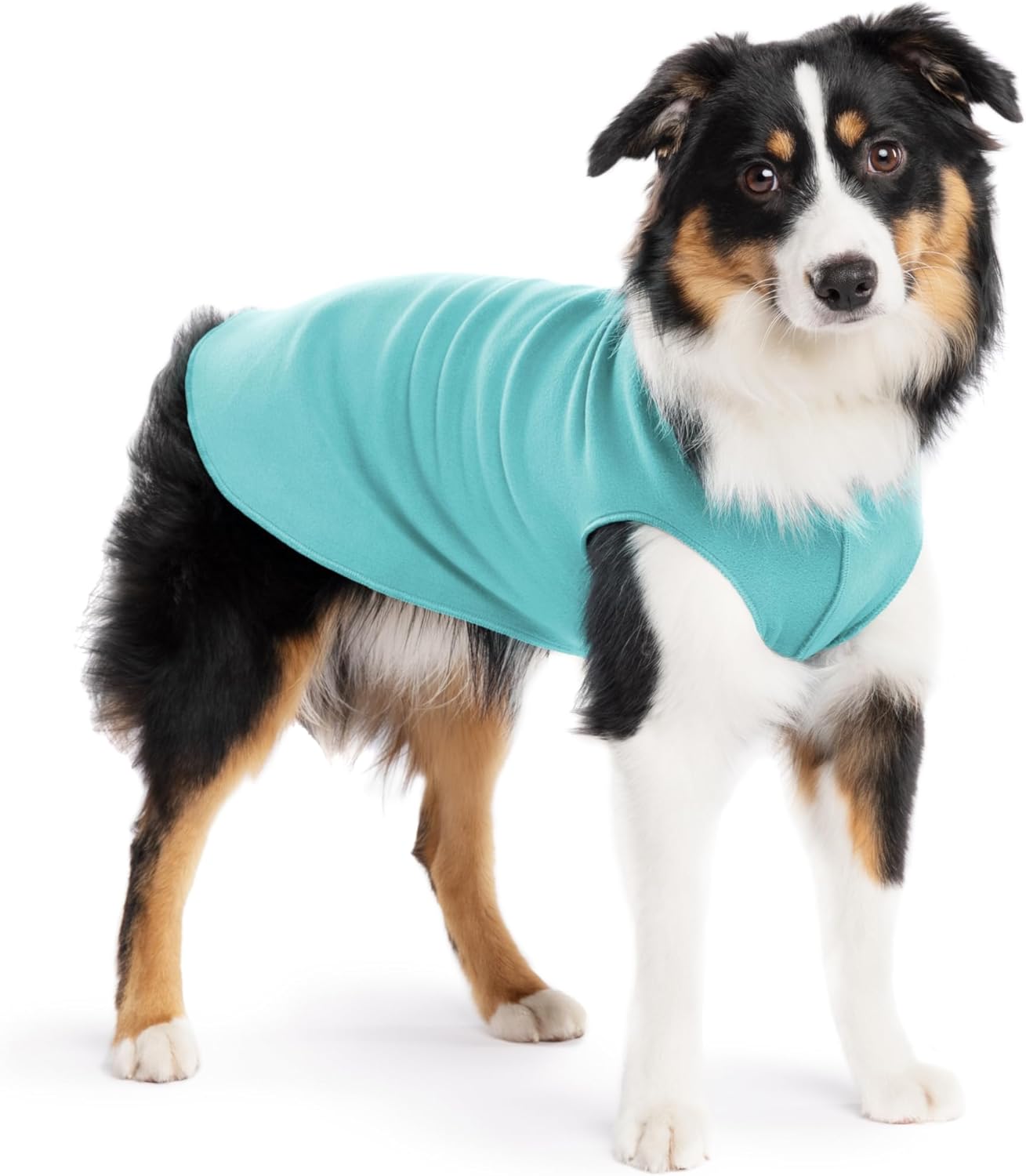 Goldpaw Stretch Fleece Dog Sweater - with Spandex for 4-Way Stretch - Soft, Comfortable Dog Coat - Machine Washable - Made in the USA- Turquoise - Size 14