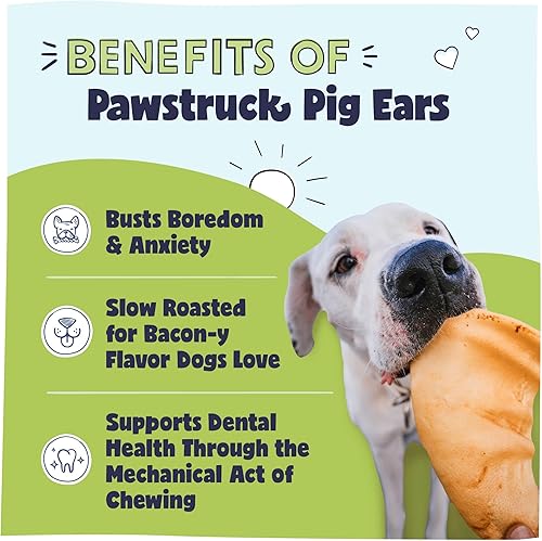 Miniatura 2 de Orejas de cerdo monstruo para perros hechas en Estados Unidos golosinas de cerdo naturales sin cuero crudo cerdas infladas hechas en Estados Unidos