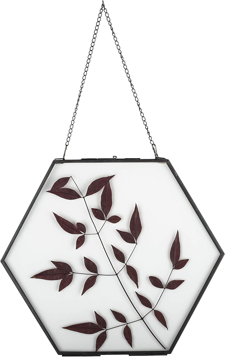 Sperma yeyuvchi yigitlar porno Mushukni yalagan porno videoni tomosha qiling