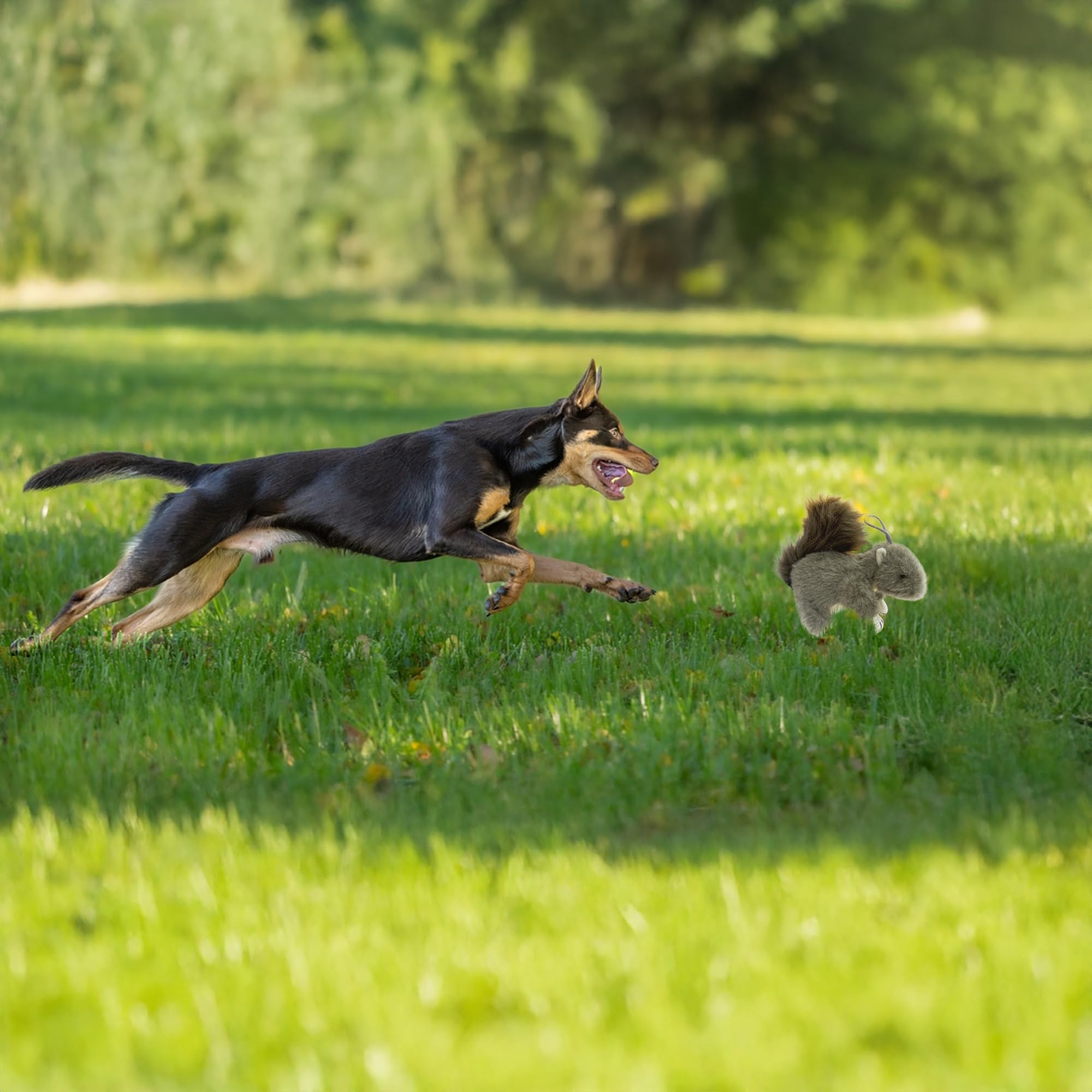 Eichhörnchen-Hundespielzeug, quietschendes Eichhörnchen, Plüsch-Eichhörnchen, Hundespielzeug, gefülltes quietschendes Kauspielzeug, realistisches Tier-Hundespielzeug, interaktives