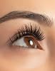 Flormar Hero Volume&Curl Volume and Curl Giving Bristle Brushed Mascara for Thin and Sparse Eyelashes No. 000-8682536022804