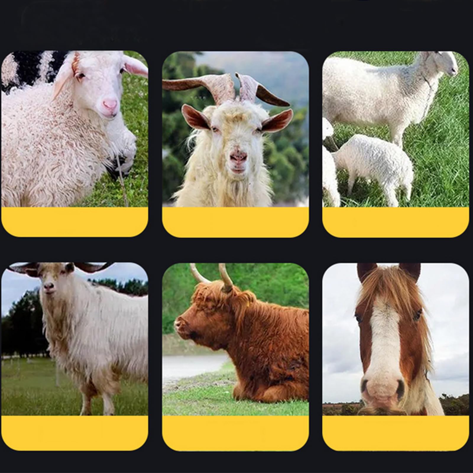 Cesoie per Pecore multifunzionali da 2000 W Lame in Titanio Resistenti alla ruggine Cesoie per Pecore a Tensione Regolabile per Cavalli Spessi Pecore Alpaca Capre (Basso Rumore) 220 V