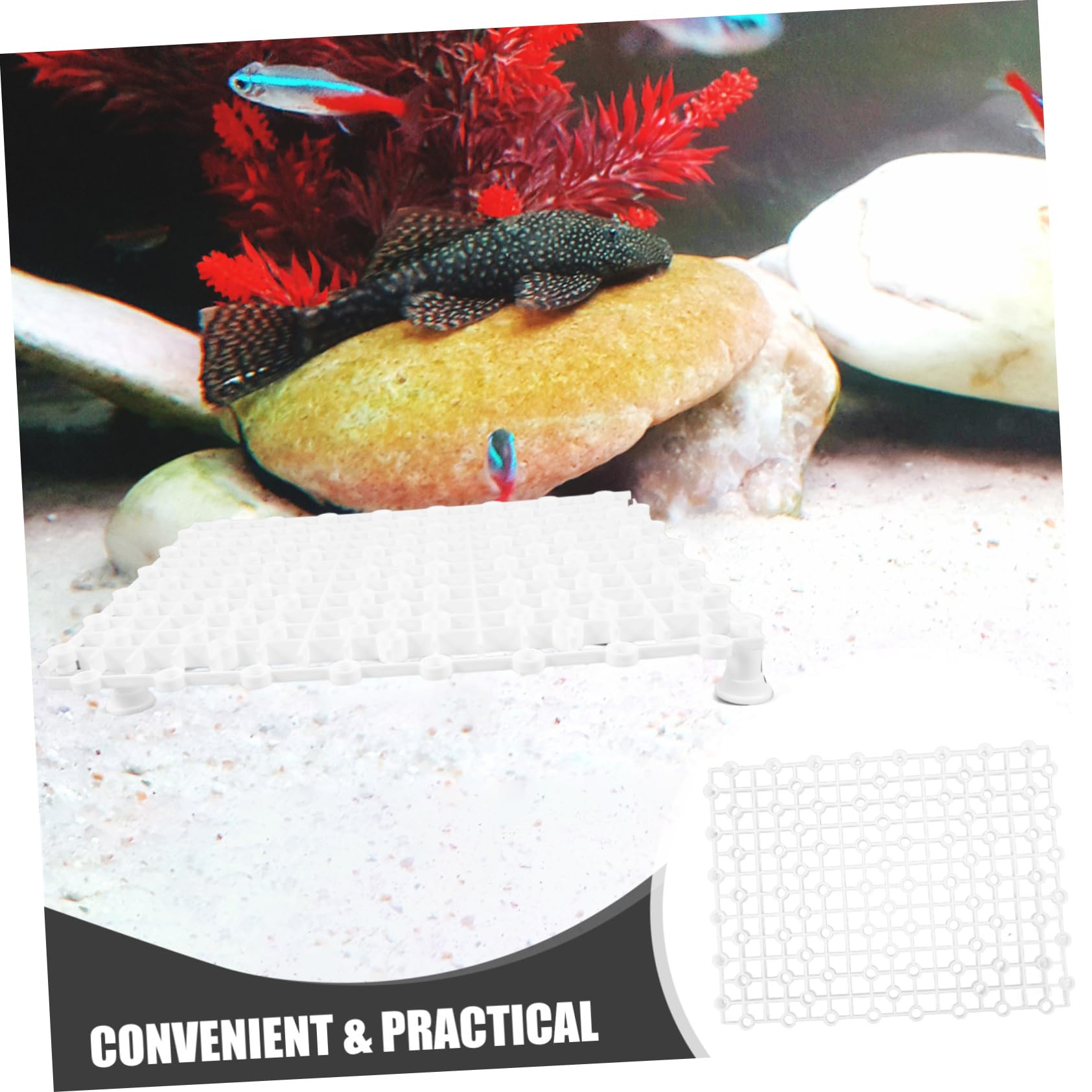 COLLBATH 4stücke Teiliges Fisch Tank Bodenfilterplatte Wiederverwendbare Aquarium-trennplatten Mit Atmungsaktivem Design Für Effektive Wasserzirkulation Und Dekoration
