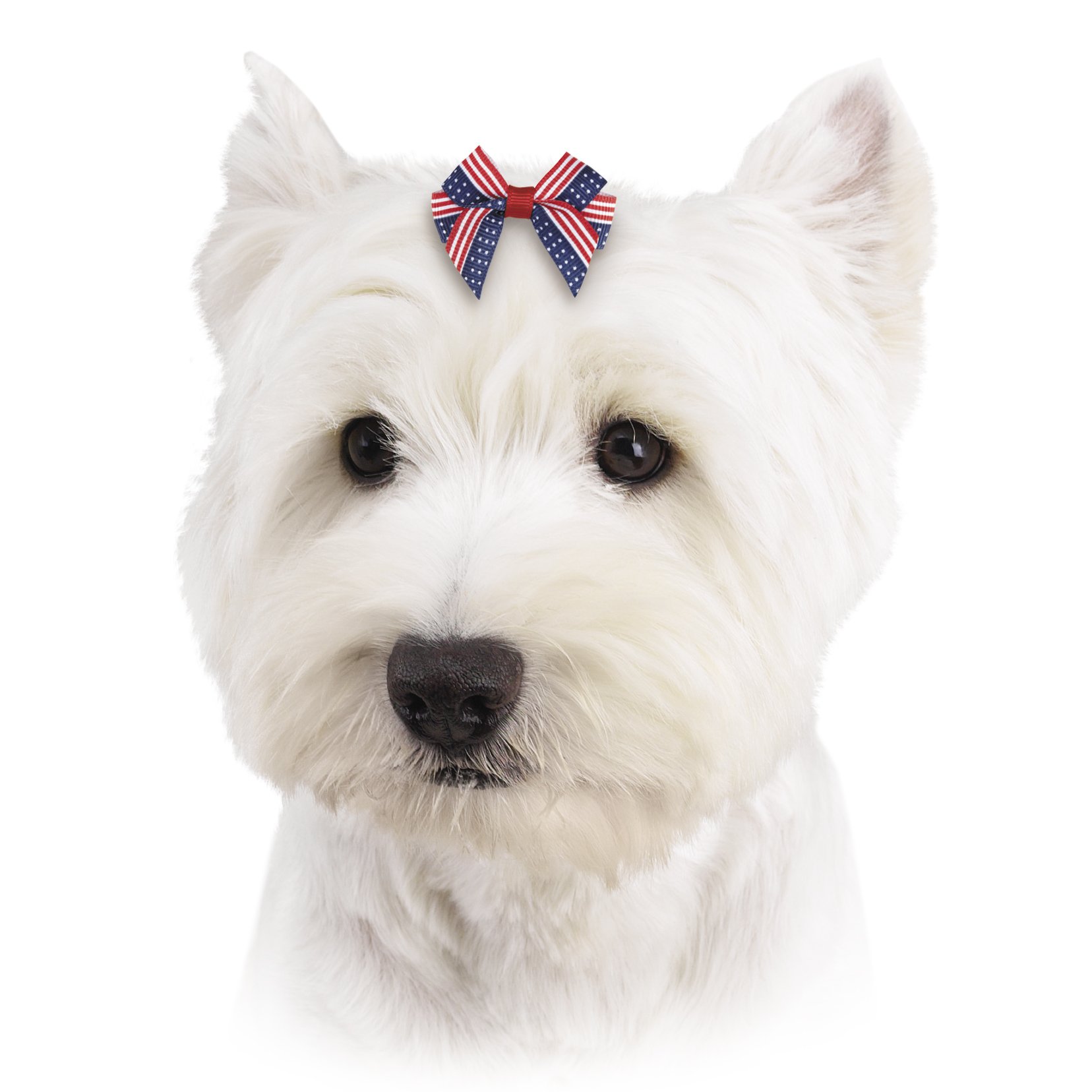 Aria America's Pup Bows for Dogs, 48-Piece Canisters
