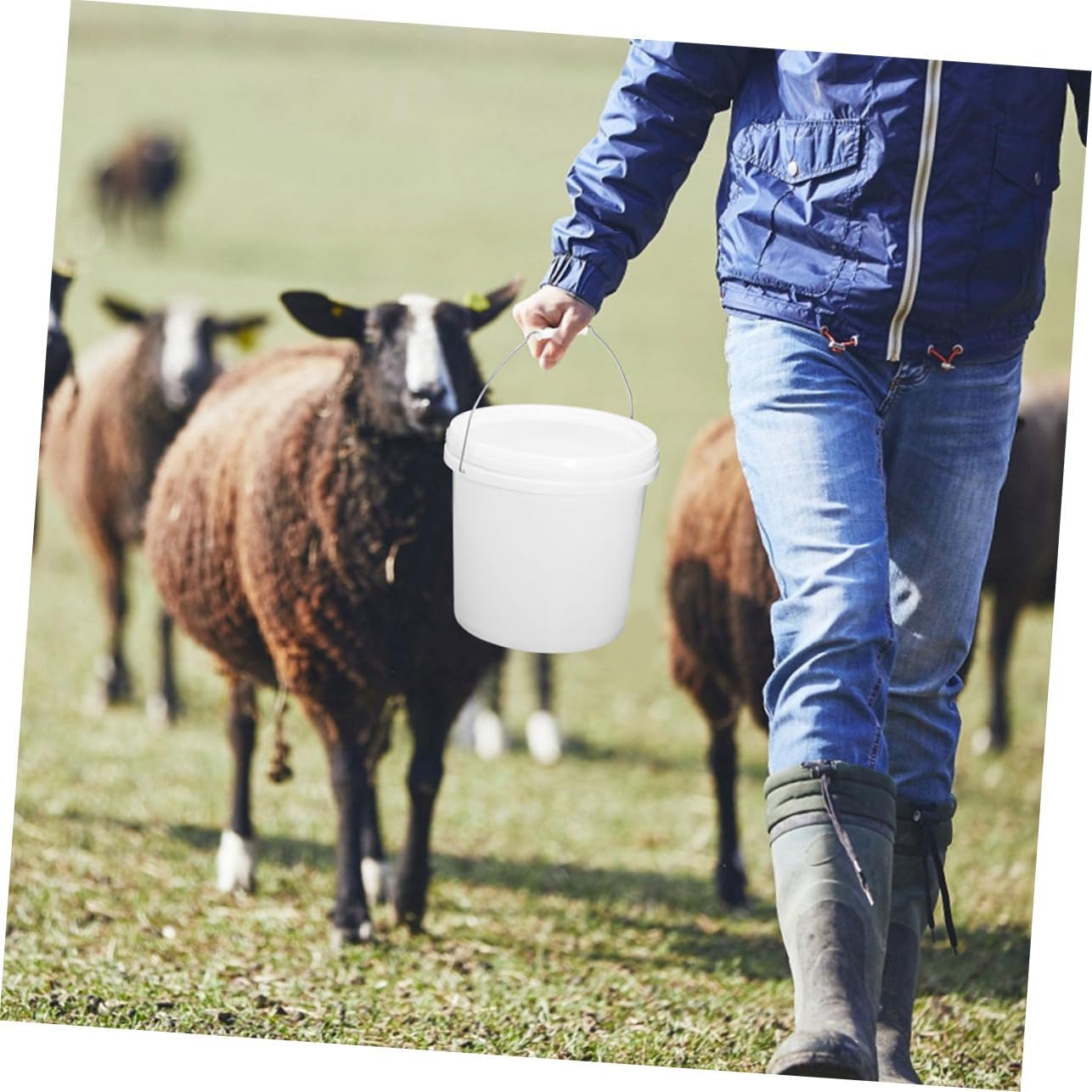 14L Round Plastic Storage Bucket Lid Heavy Duty Water Paint and Pigment Container for Home Use and Outdoor Activities Multi-Functional 10 Liter Bucket