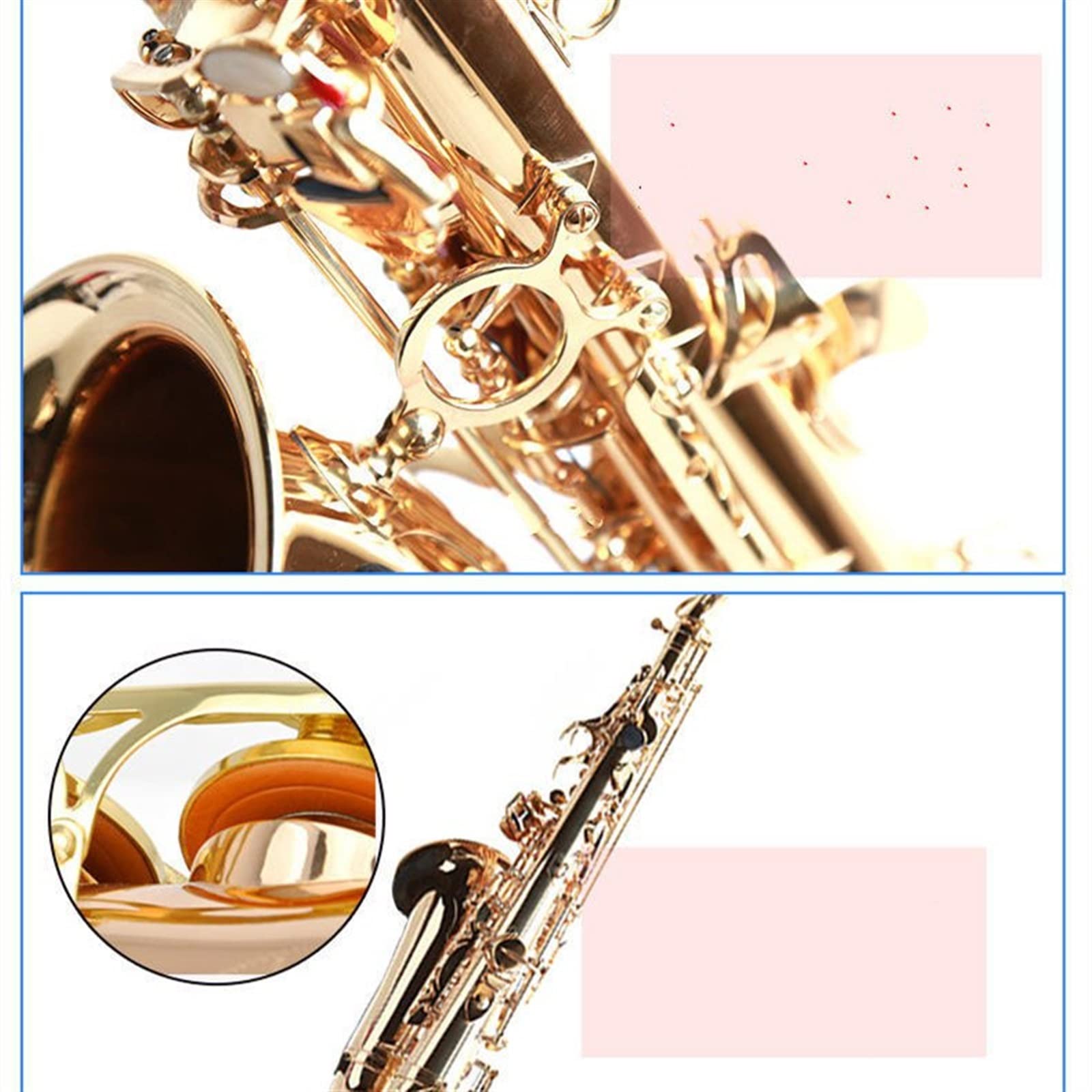 Sax Studente Sassofono Contralto Sassofono in Mi Bemolle Sassofono Contralto in Mi Bemolle Strumento Sax Contralto