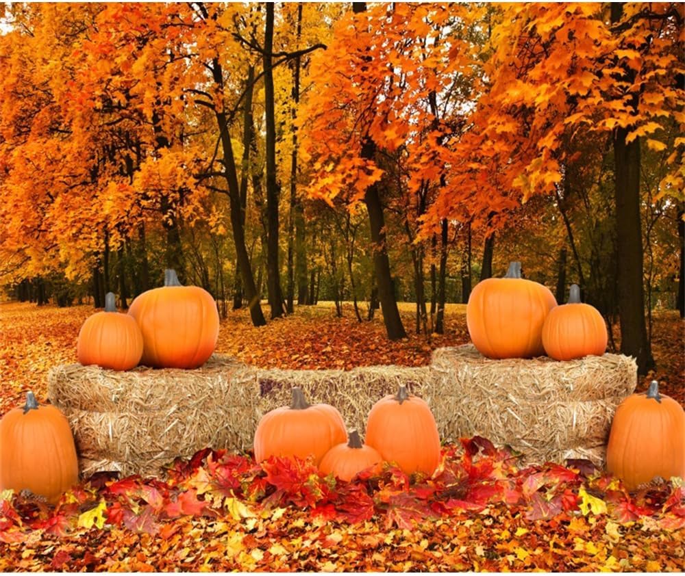10x8ft Fall Forest Scenery Photography Backdrop Autumn Natural Landscape Photo Background Maple Forest Pumpkin Picture Background Fall Theme Thanksgiving Party Decorations Banner