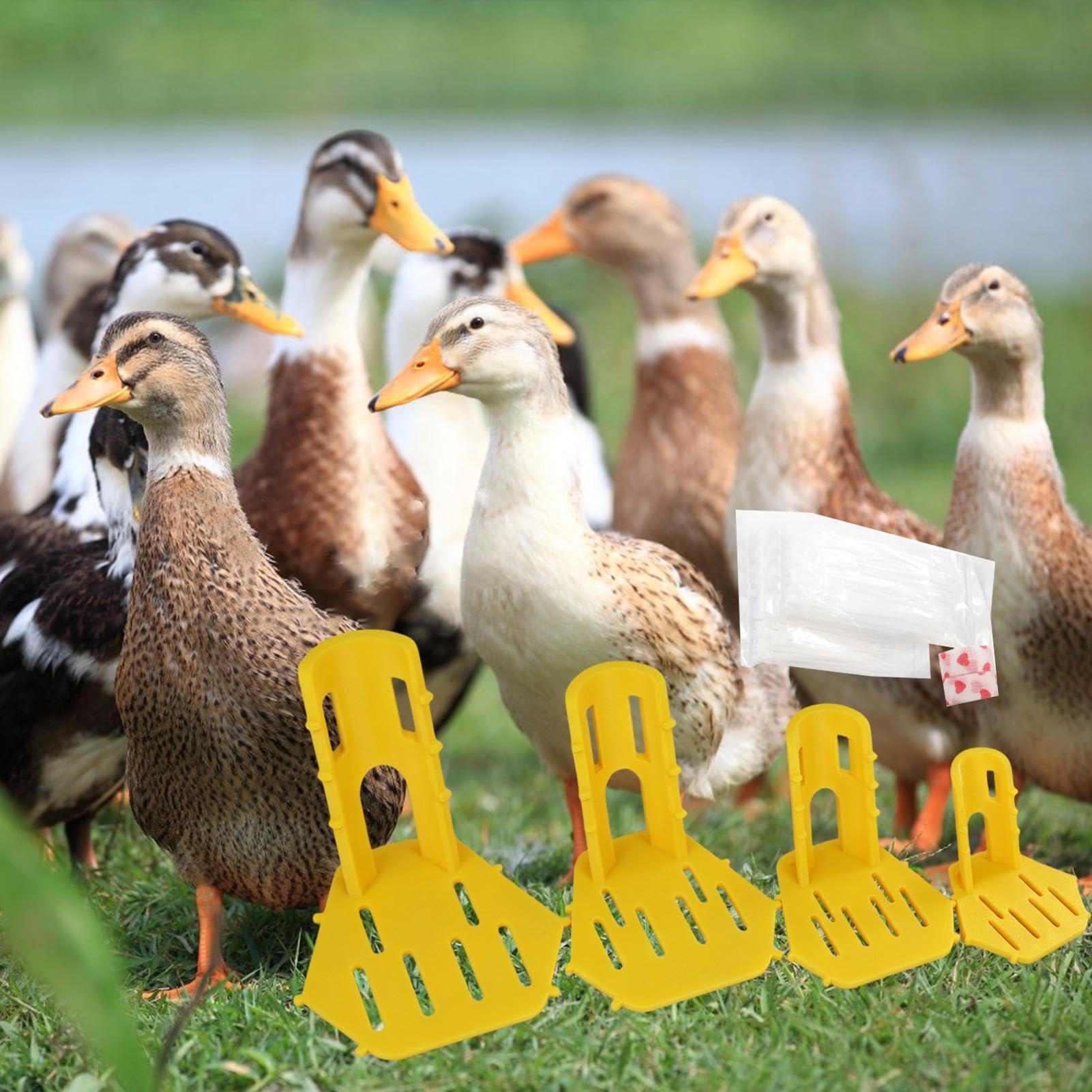 Ensemble d'attelles de jambe de volaille – Orthèse confortable réutilisable en ABS pour pattes de poulet et canard