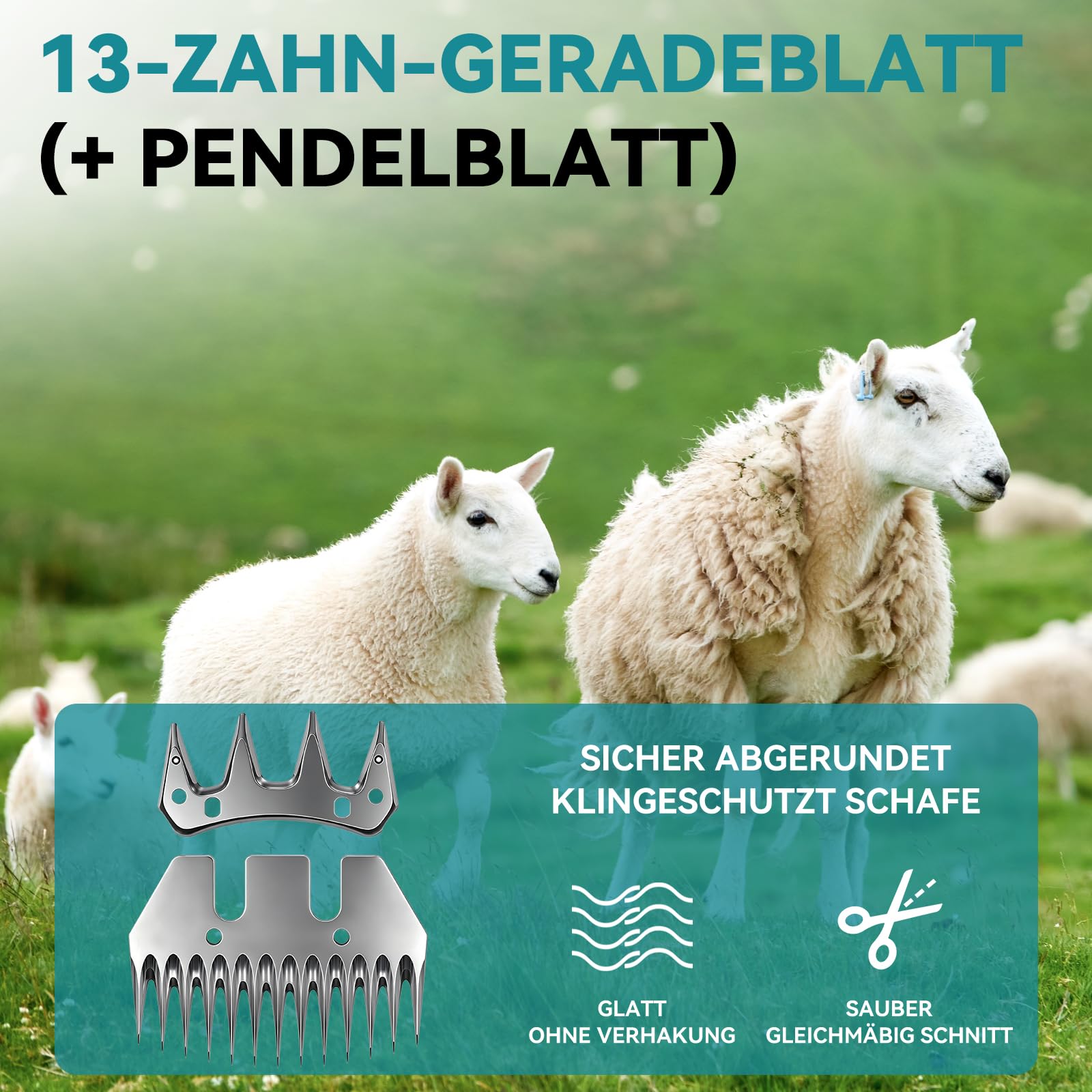 Yofidra Elektrische Schafschere 550W, Kabellose Schafschermaschine Akku 6 Geschwindigkeiten 13-Zahn Klinge, 2x3000mAh Akkus, Professionelle Wollschere Sheep Shears für Schaf Ziegen Alpakas