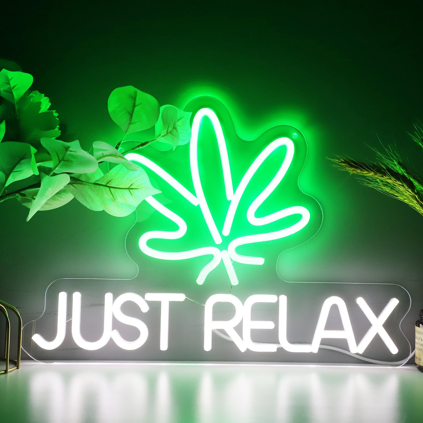 Neon Signs Just Relax LED Neon Lights Signs for Wall Decor, Business Sign, Man Cave, Pub,Bedroom, Party,USB Powered with Dimmable Switch, 17 * 11.8 Inch