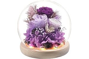 Mother's Day Roses: A Gift of Love and Appreciation