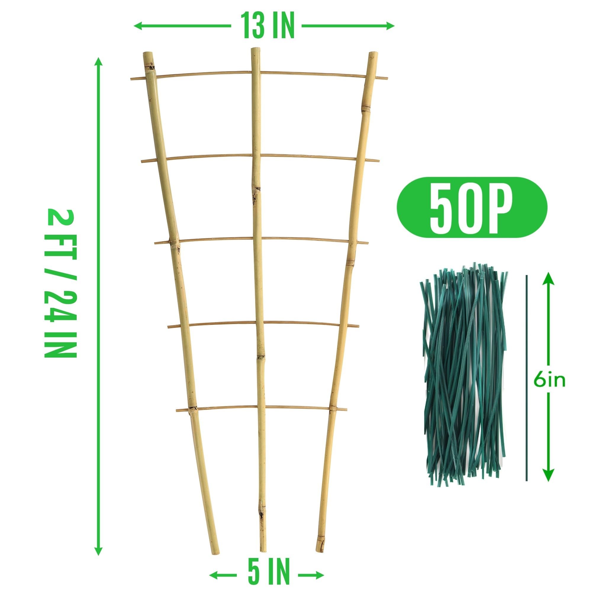SWANGSA Enrejado de bambú de 2 pies para plantas trepadoras, paquete de 6 enrejados de bambú en forma de abanico con 50 lazos giratorios para plantas en maceta de exterior e interior