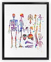 Vista 1 de Dignovel Studios 8X10 Sistema esquelético sin marco humano esqueleto anatomía cuerpo medicina ciencia acuarela arte impresión póster pared guardería