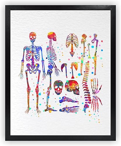 Dignovel Studios Sistema esquelético sin marco 8X10 Anatomía del cuerpo Esqueleto Humano Medicina Medicina Ciencia Acuarela Arte Impresión Póster