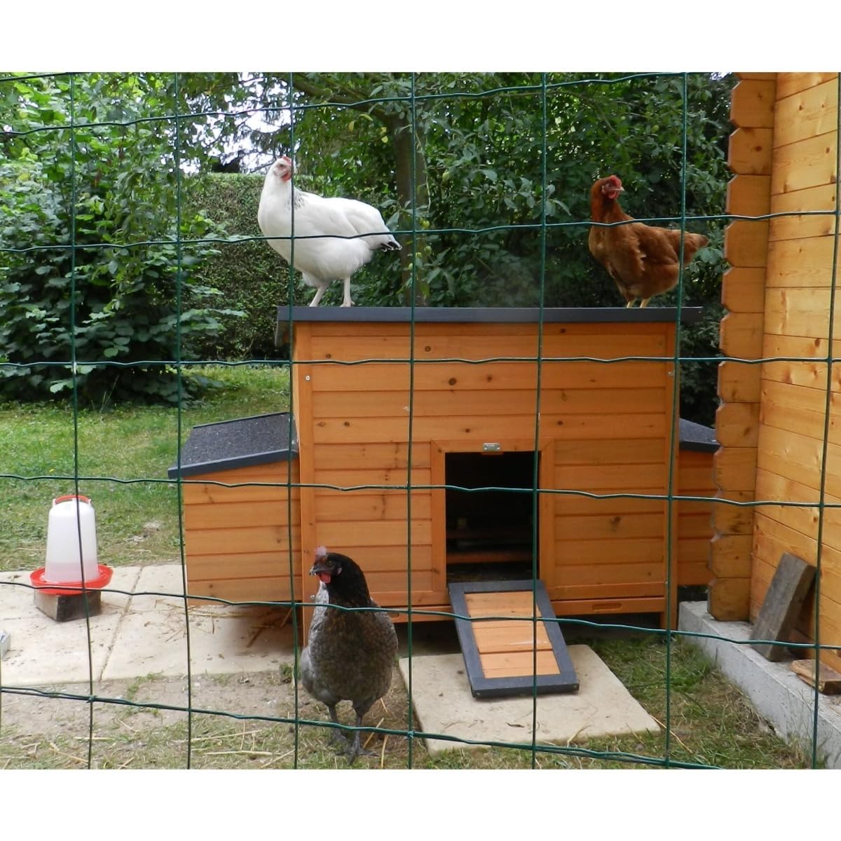 Animal Valley Gallinero Sussex XL Techo Shingle Negro Abatible para 6 a 10 Gallinas, Madera FSC