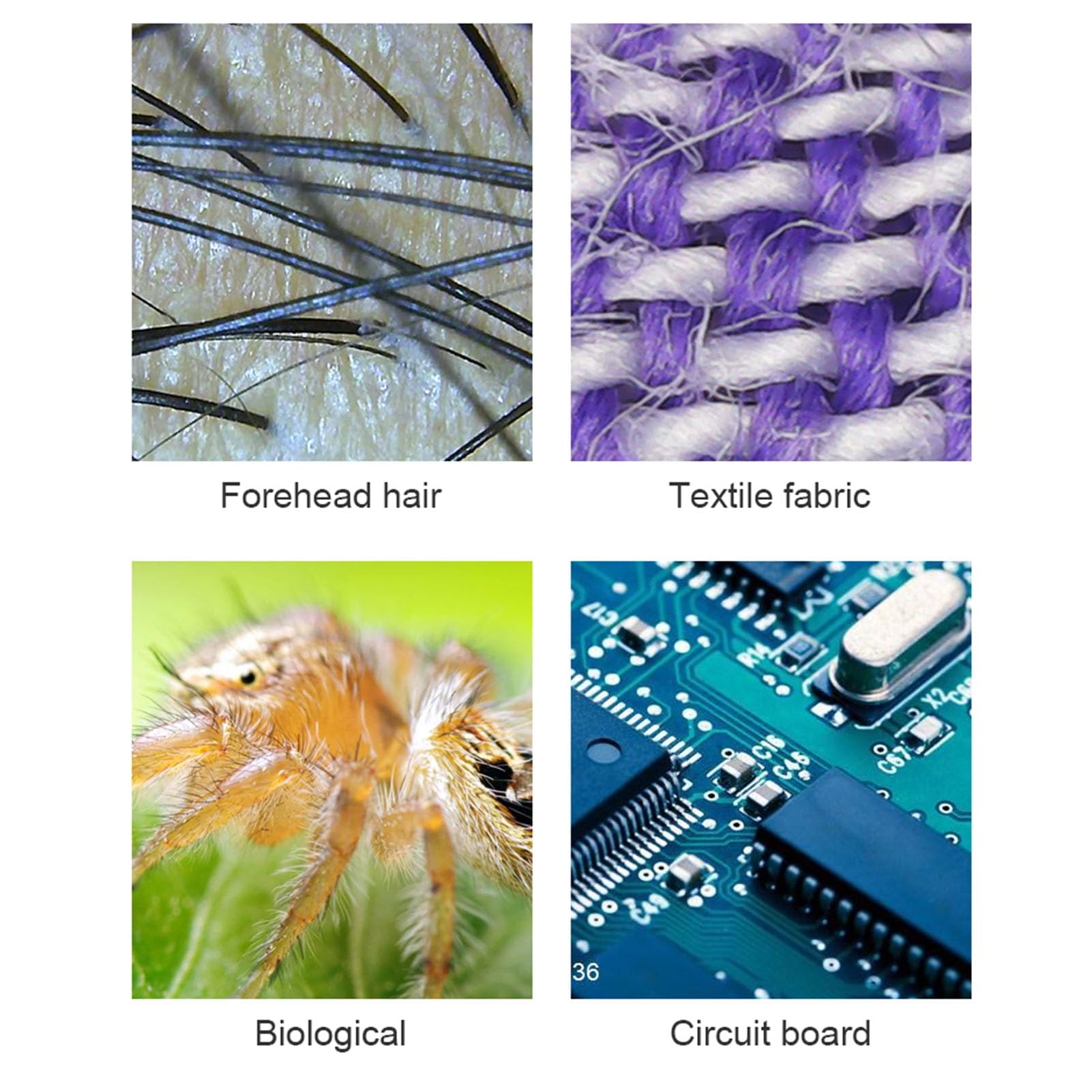 Microscopio Digital Inalámbrico 50X-1000X, WiFi Portátil Mini USB Microscopio Cámara Lupa para Teléfono y Computadora, para Placa de Circuito Electrónico del Cuero Cabelludo