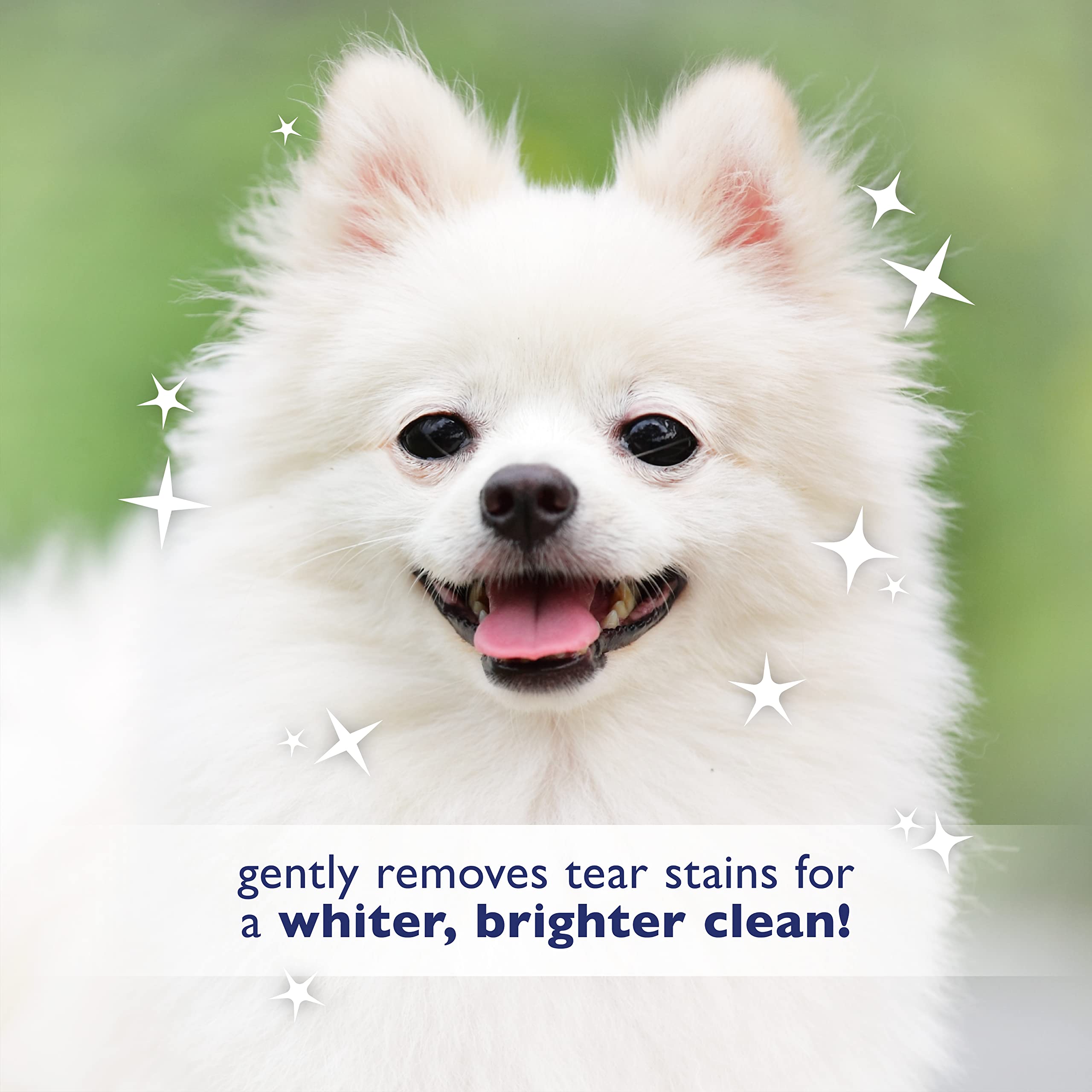 How To Clean Tear Stains On Dogs Face