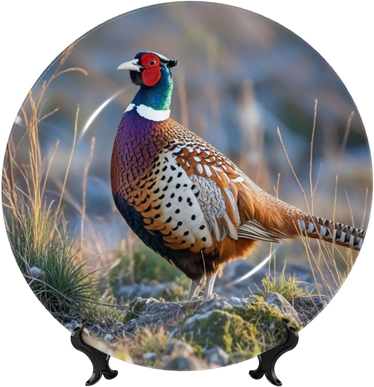 Decorative Plate Art Crafts Bone China Decorative Plate with Display Rack Souvenir Wall Decor Ceramic Ornaments Dinner Plates Ceramic Decoratives Plates for Home Office 10in