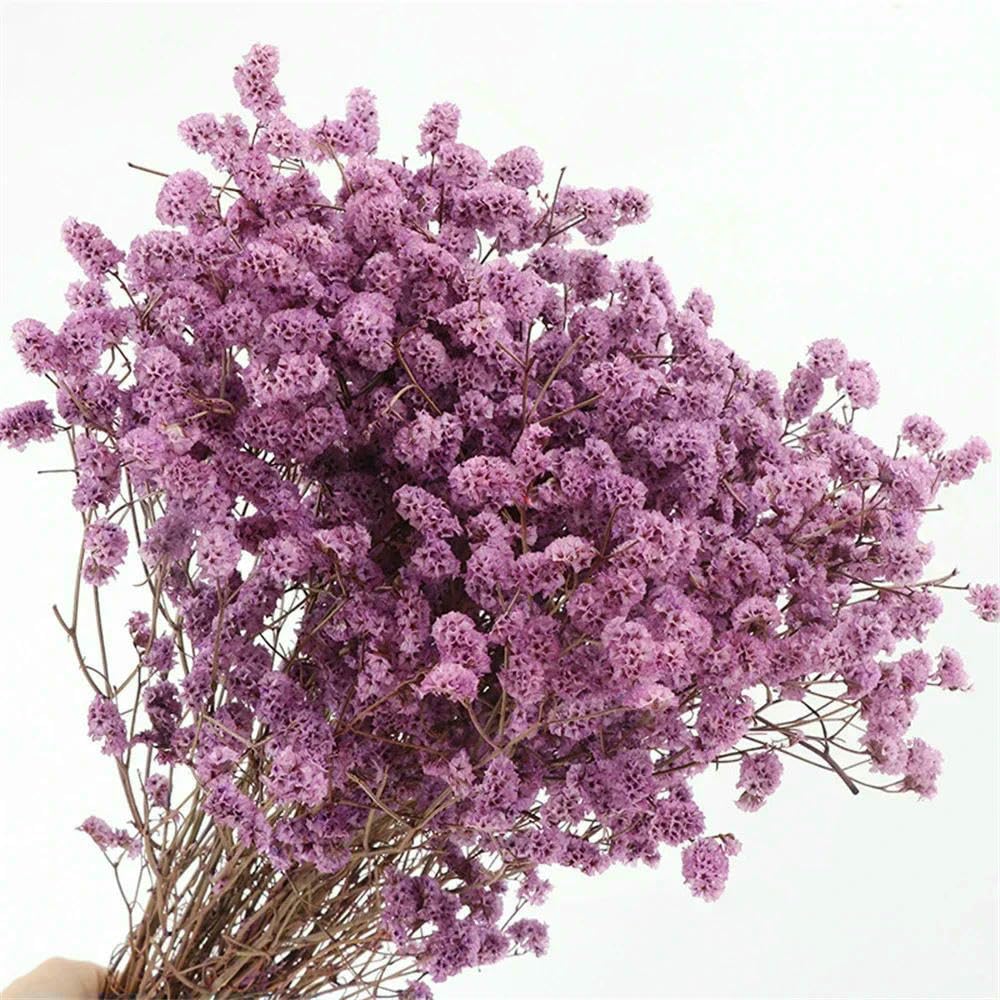 40-50 cm Herbe cristalline séchée Naturelle, véritable Fleur « Amour éternel » pour Les compositions de Mariage