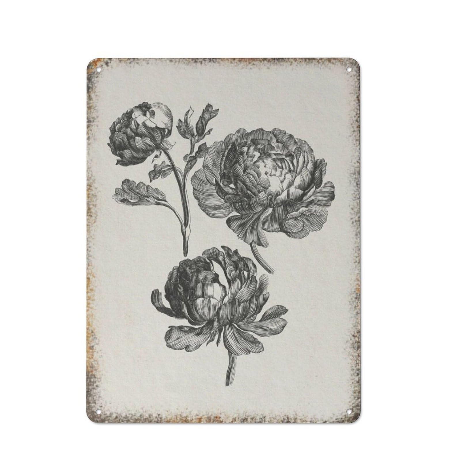 Vintage Peony Botanical Art Farmhouse Kitchen Home Wall Decor 12 * 16inch