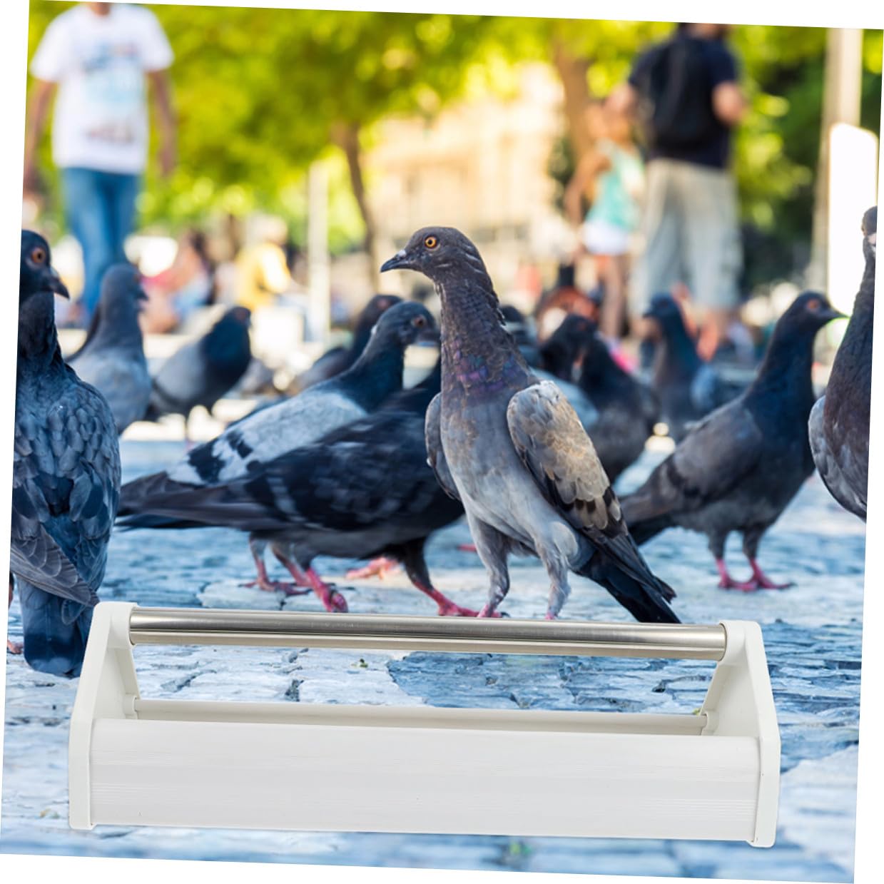 VICASKY Mangeoire à Pigeons Facile à Nettoyer et Anti-éclaboussures en Acier Inoxydable et Plastique Lot de 2 pour Oiseaux en Extérieur Les Parcs