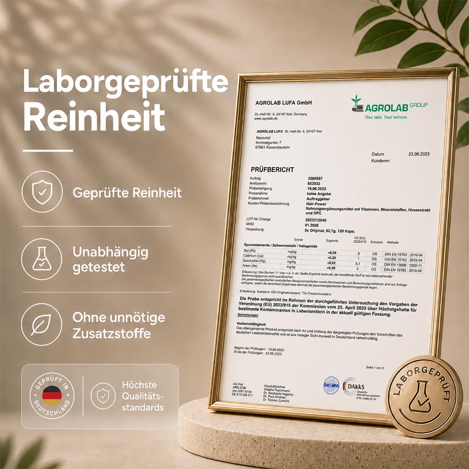 Haar Vitamine Haarausfall - 120 Kapseln I Hochdosiert mit Biotin, Zink, Selen, OPC, Hirse-Extrakt (reich an Silizium und Kieselerde) ohne chemische Haarwuchsmittel I Haarvitamine für Haar- & Bartwuchs