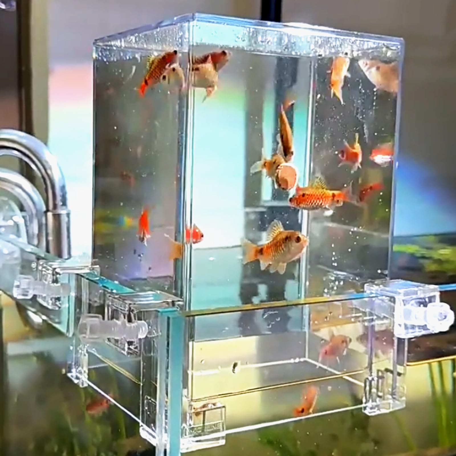 GarveeLife Tour d'Aquarium Inversé en Acrylique Transparent Réservoir à Pression Négative Remplissage Automatique Design Suspendu Plus d’Espace d’Activité Circulation d’Oxygène –