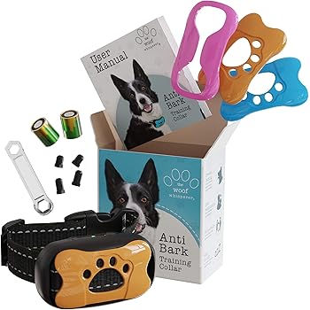 dog whisperer stop barking