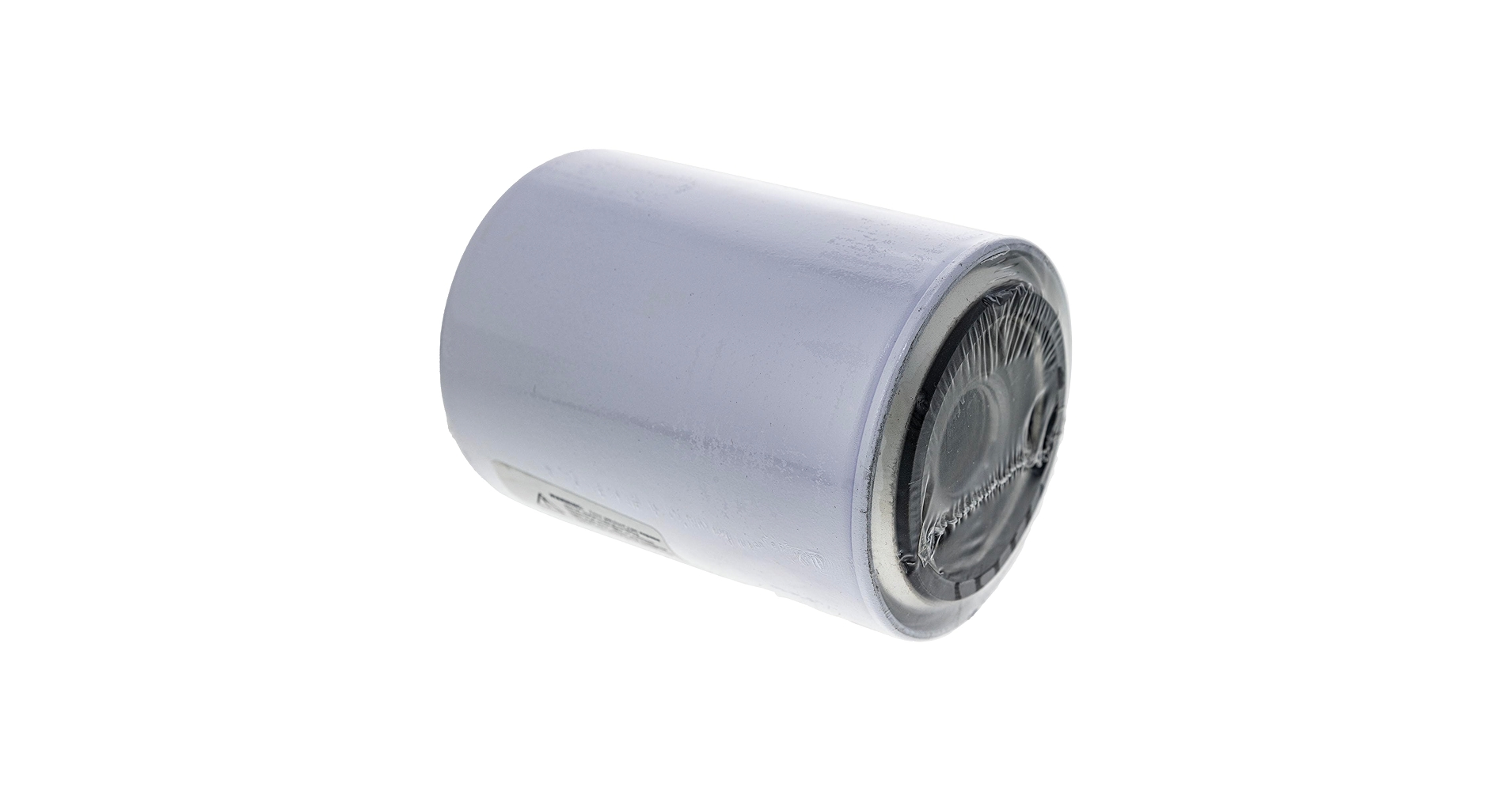 Amazon.com: CUB CADET 01004166 Hyro Filter 33 Micron Tank