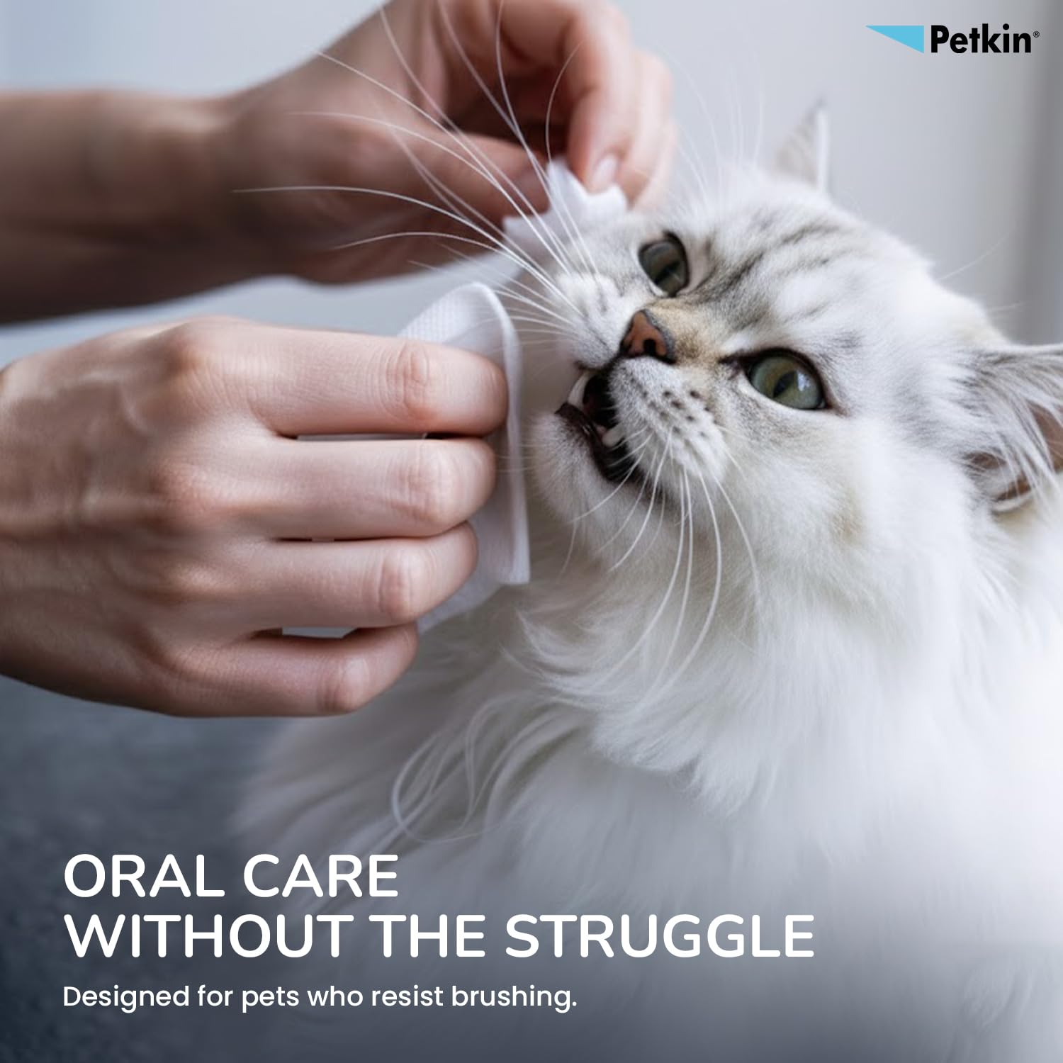 Petkin Plaque Fresh Mint Toothwipes Dog & Cat Dental Cleaning Wipes 1