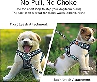 Vista 103 de Petmolico - Juego de arnés para perro sin tirones, 2 correas de sujeción con asa de fácil control, chaleco reflectante para razas pequeñas, arnés