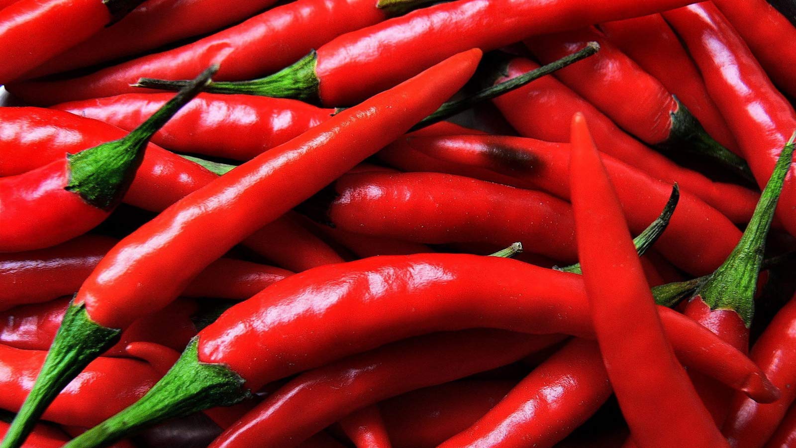 Rote Pesto-Sauce mit schwarzem Trüffel, Chilischote, sonnengetrocknete Tomaten, Gourmet Pesto mit Trüffel, traditioneller italienischer Geschmack in einer cremigen Pasta-Sauce mit Olivenöl (5x80g)