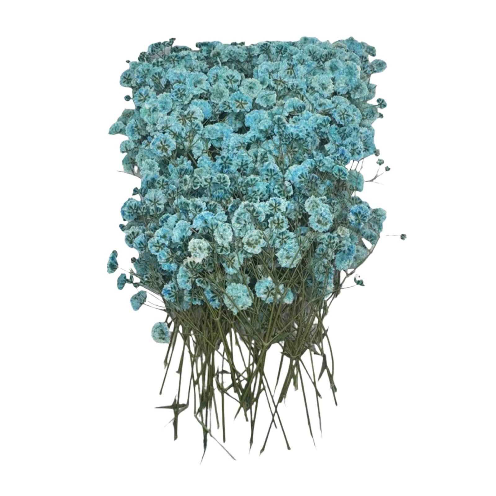 WJIAYAO dried gypsophila flowers 100pcs Bulk Dried Gypsophila Flowers for Pressing Craft Diy Materials for Bookmarks(Color1)