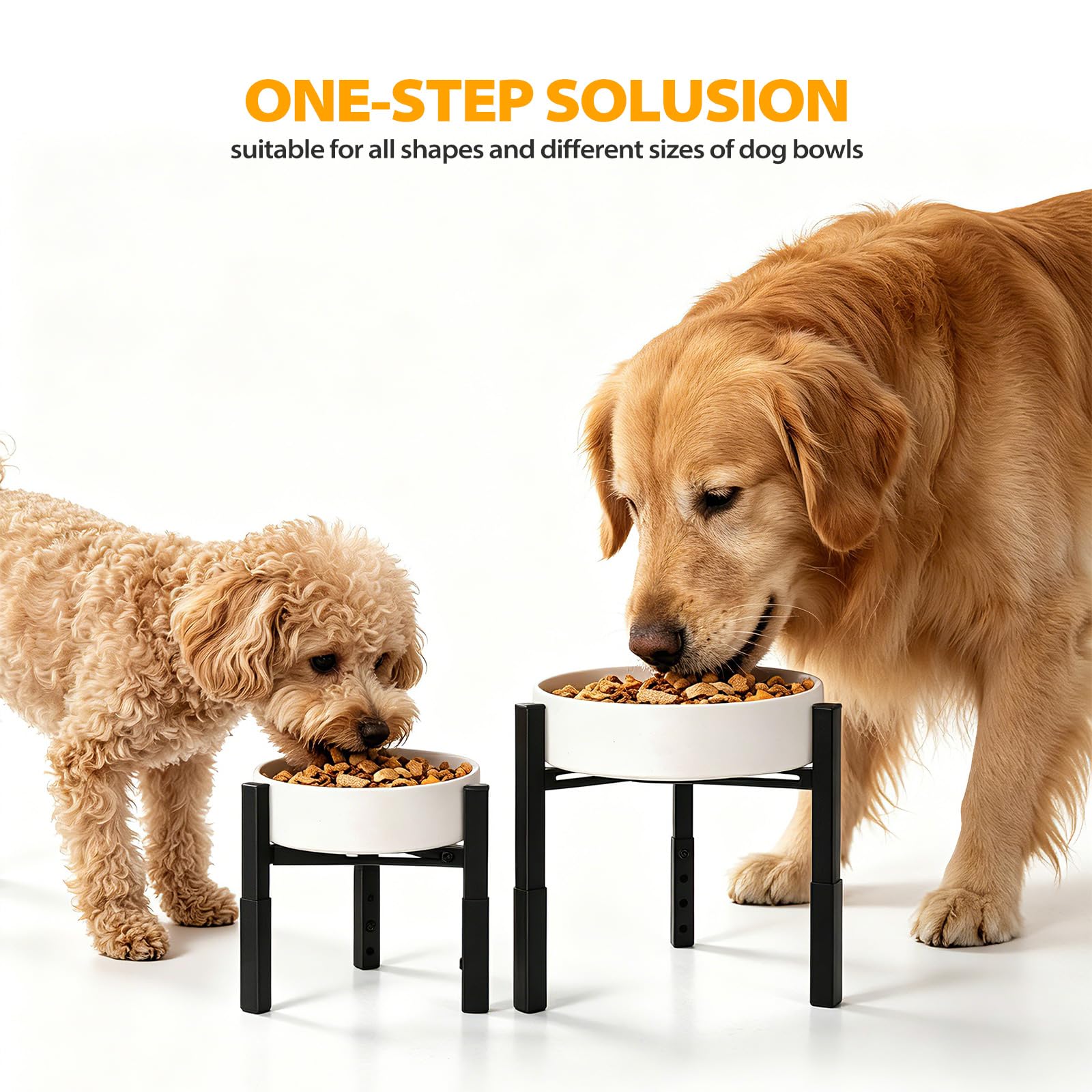 Cuenco elevado para perros