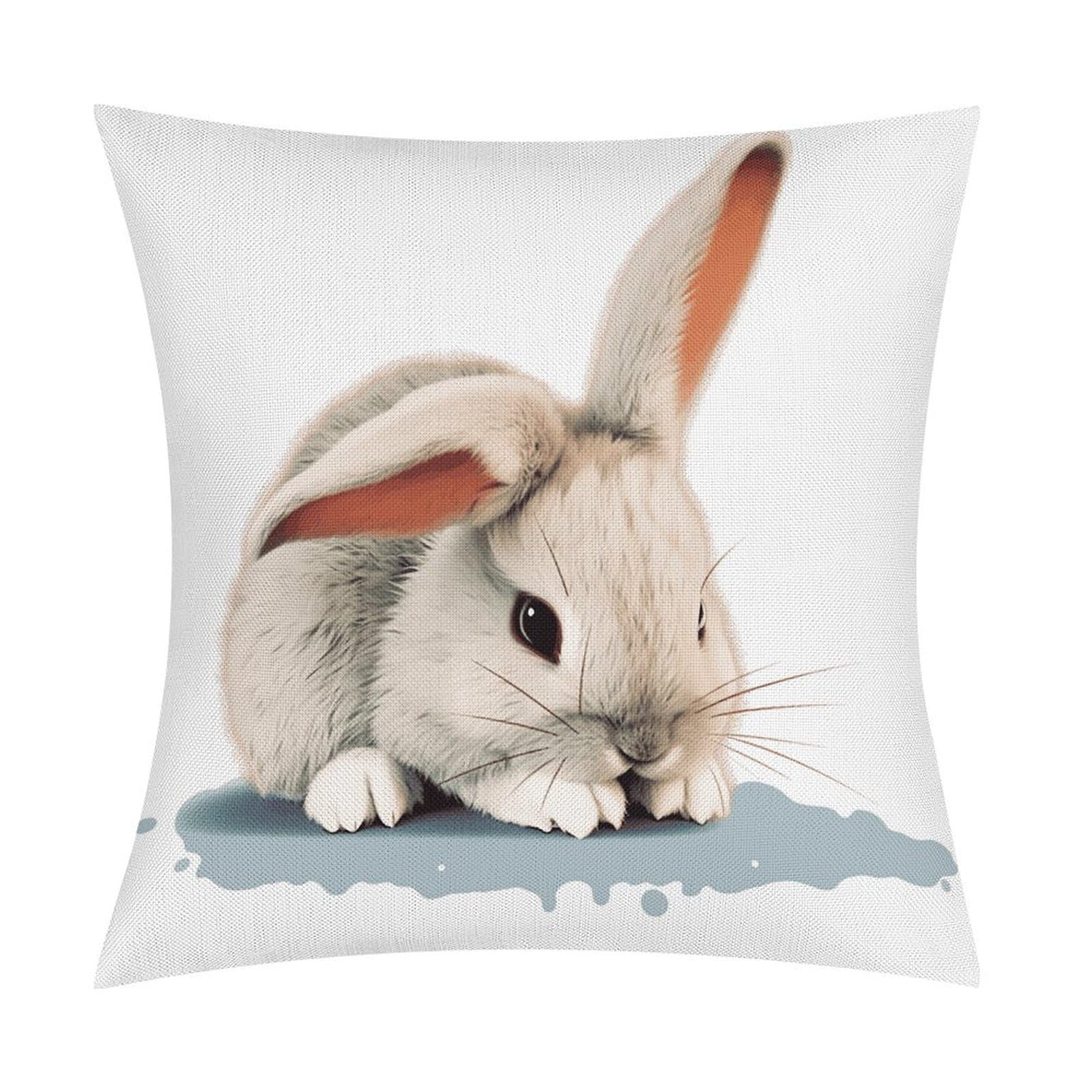 FekiLoot Cry Rabbit Throw Pillow Cover Soft Square Cushion Case Farmhouse Cushion Cover Decorative Pillow Cover Modern Pillowcase for Sofa Living Room Bed Home Decor 18x18 Inch