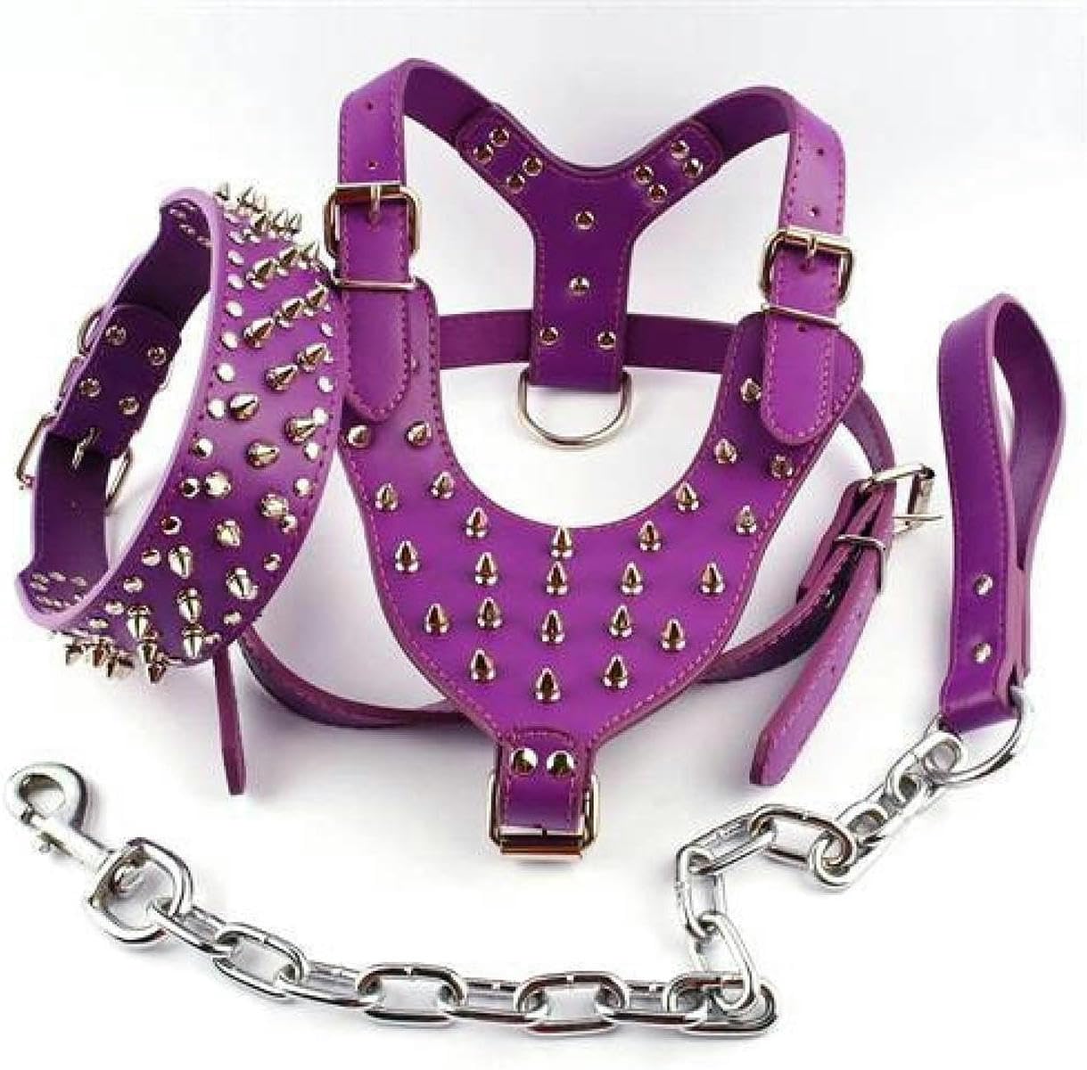 Arnés para Perros de Cuero con Tachuelas y Pinchos, Collar y Correa con Remaches para Perros medianos y Grandes, Morado, XL