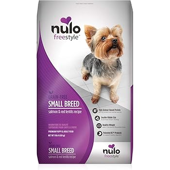 nulo for french bulldog