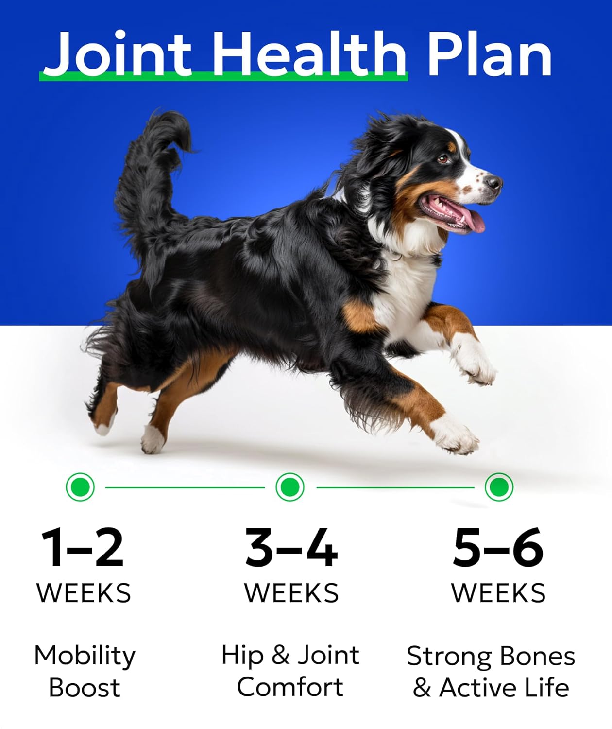 BARK&SPARK Senior Advanced Glucosamine Chondroitin for Dogs - Hip Joint Pain Relief - Old Dog Joint Chews Large & Small Breed - Hip Joint Chews Joint Health Care Treats - 240Ct