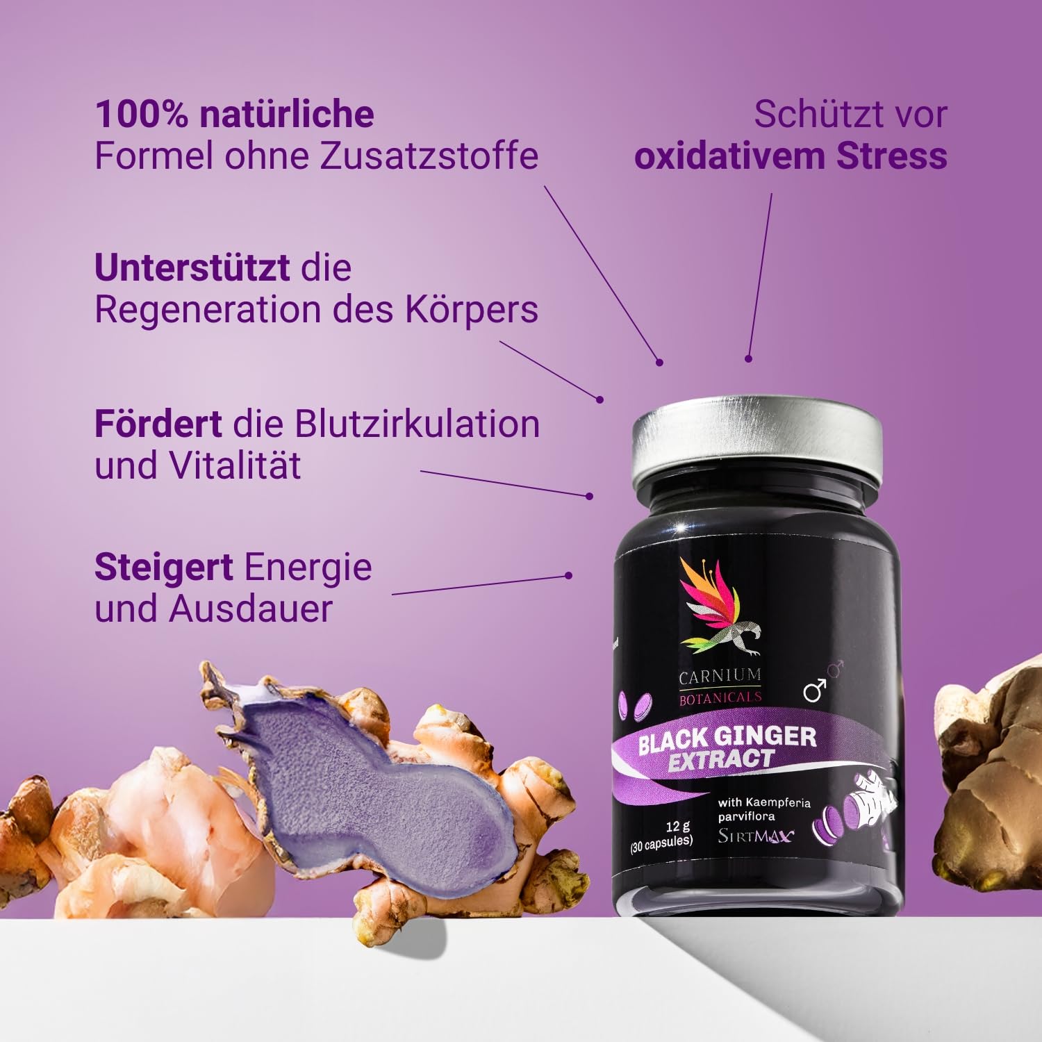Carnium Botanicals Black Ginger Extrakt, 30 Kapseln | Vegane Ingwer Kapseln, Glutenfrei, Laktosefrei, Bio Ingwer Extrakt