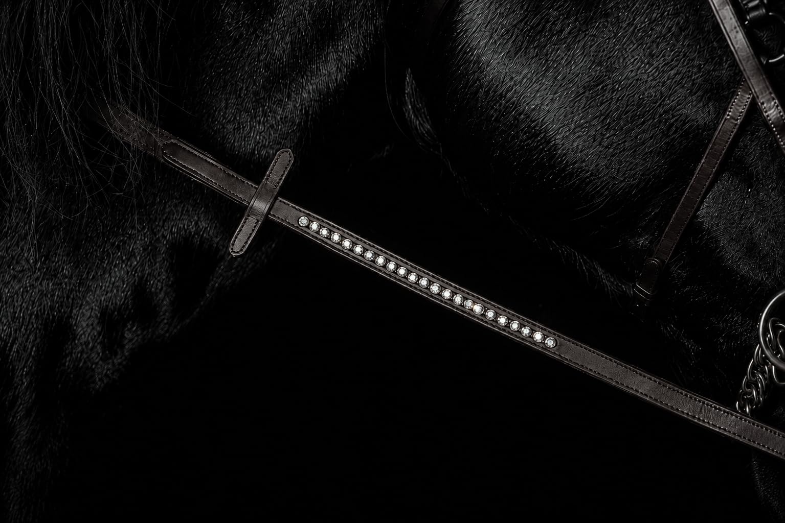 Zuegel Zügel Deister Gummizügel Glitzer Strass Dunkelbraun Schwarz 2,60 2,60 Meter Tysons (2,60, Dunkelbraun)