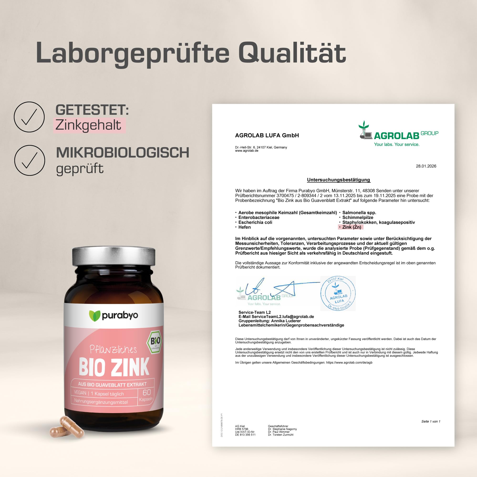 Natürliches BIO Zink aus Bio Guavenblatt Extrakt | im Glas | Zink hochdosiert 10 mg | 100% Tagesbedarf | 2- Monatsvorrat | vegan | vegan, laborgeprüft und in Deutschland hergestellt (Packung mit 2)