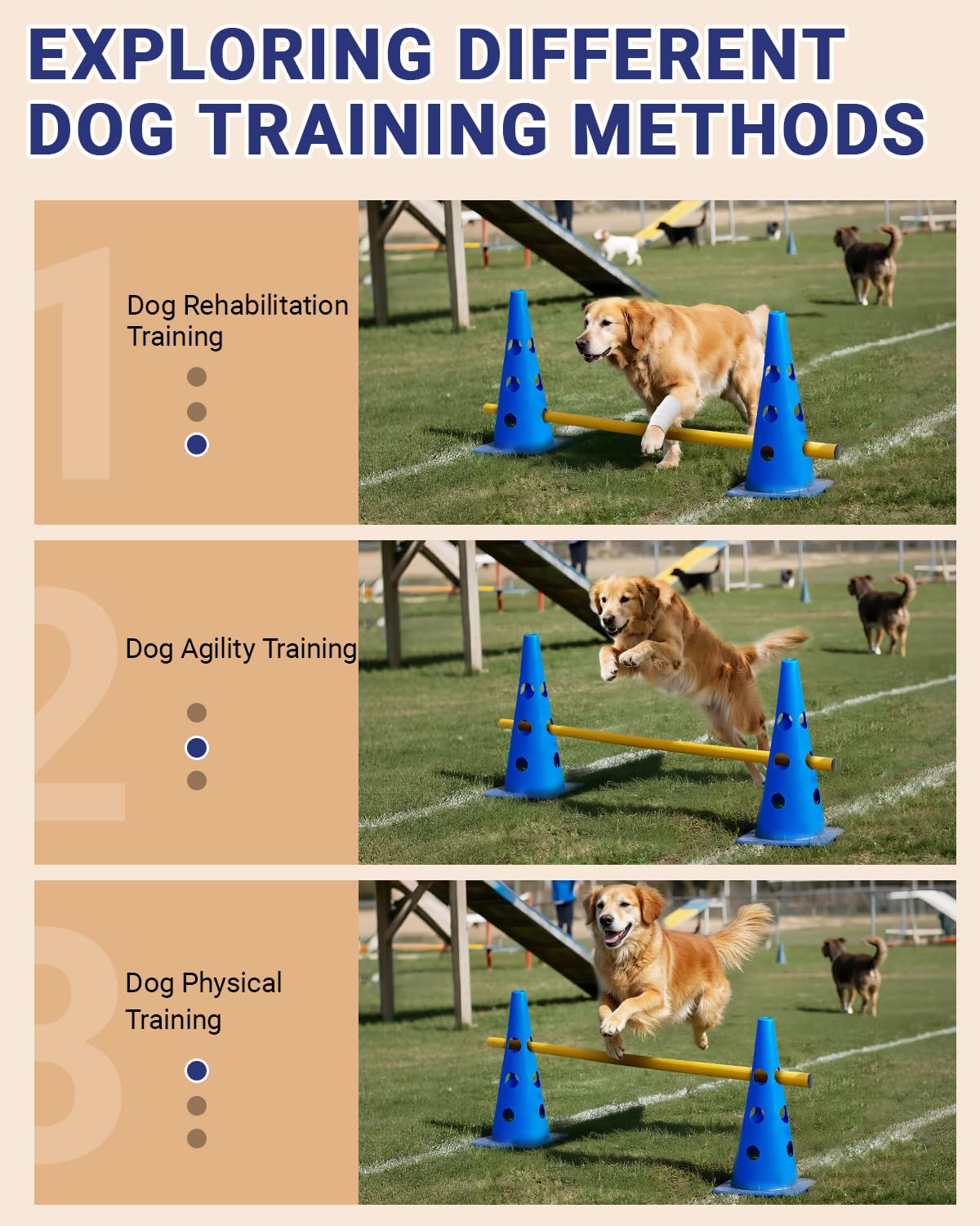 Agility-Kurs-Hinterhof-Set, Agility-Hürden-Kegel-Set für Hunde