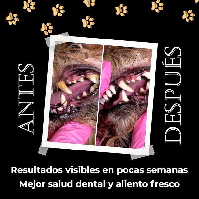 Foto 7 de 7 de Polvo Dental para Perros y Gatos, 80 g