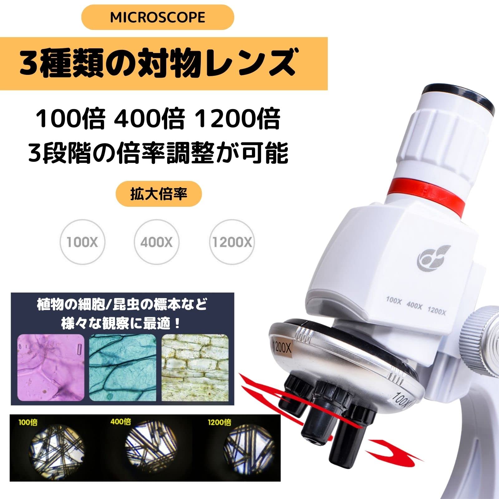 Amazon.co.jp: PLEAVIT 顕微鏡 セット 小学生 中学生 こども6歳以上