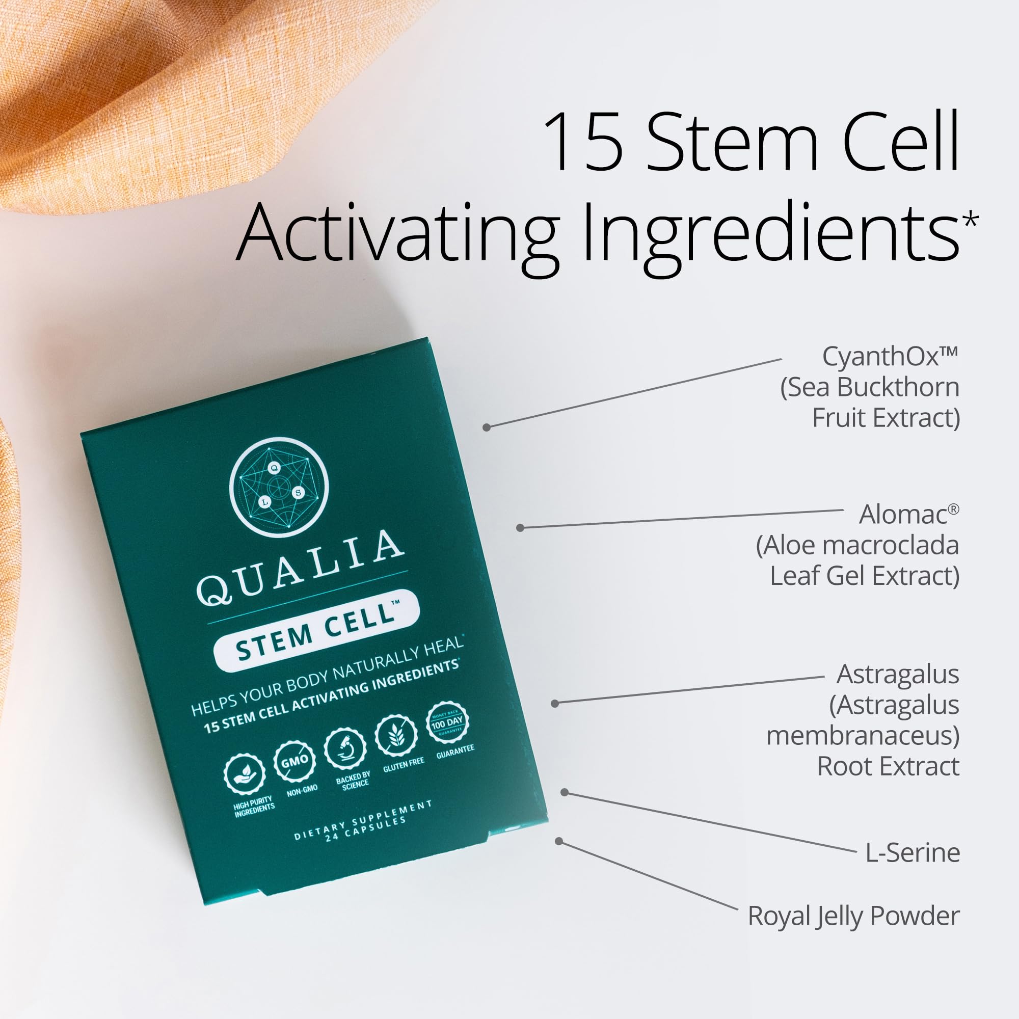 Qualia Stem Cell Supplement for Healthy Aging and Immune System Resilience — Amazon image 5